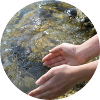 Hands in Water